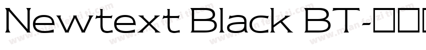 Newtext Black BT字体转换